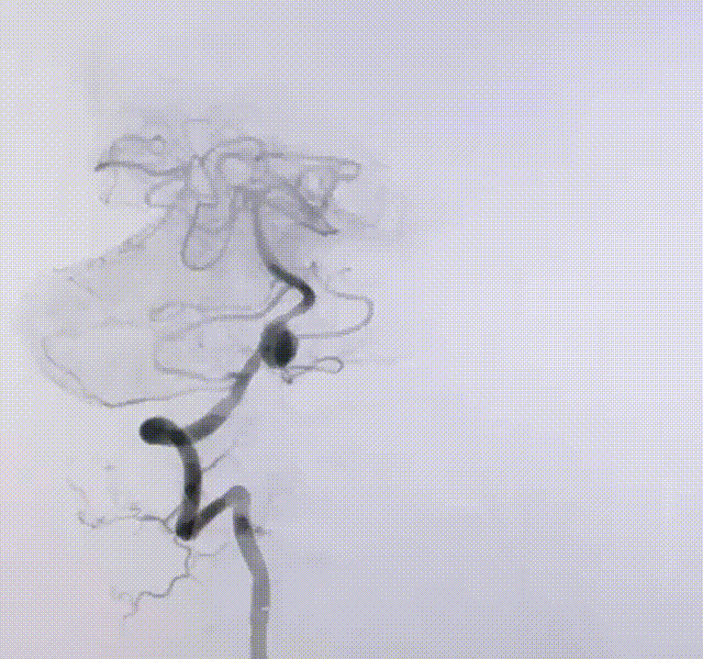 640.gif